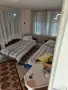 къща с дворно място 2 декара, снимка 3