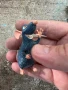 Фигурка на плъх играчка , снимка 2