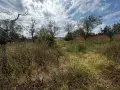 Наследствен имот за продажба от собствениците, с. Страцин., снимка 6