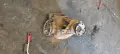 Диференциал 7532049-02 Bmw 730D E65 3.0D - 231к.с. 2005г M57, снимка 1