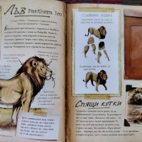 Записки на изследователя: Сафари животни, снимка 2 - Детски книжки - 42181584