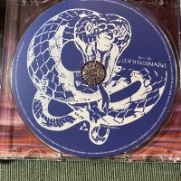David Coverdale,Whitesnake , снимка 14 - CD дискове - 44200919
