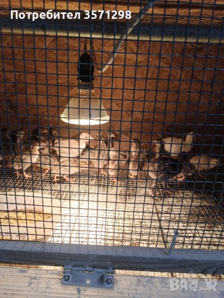 Токачки, снимка 1