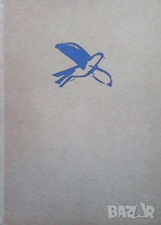 Предвестник Александър Муратов, снимка 1