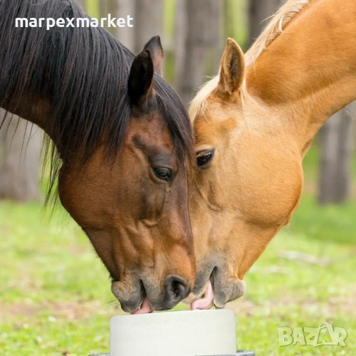 Сол за коне - Equisal, снимка 1
