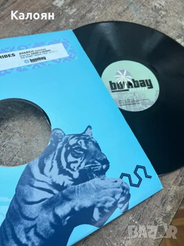 Грамофонна плоча - двоен албум - The Lost Tribes of Ibadan, снимка 3 - Грамофонни плочи - 51365496