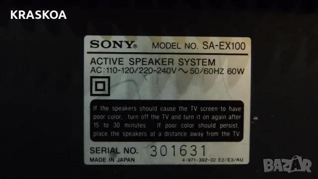 SONY SA-EX100, снимка 6 - Тонколони - 48119015