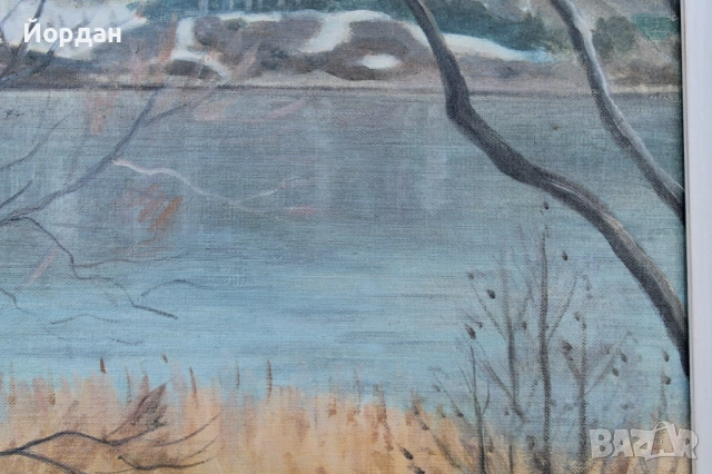 Стара картина масло върху платно, снимка 4 - Картини - 53113494