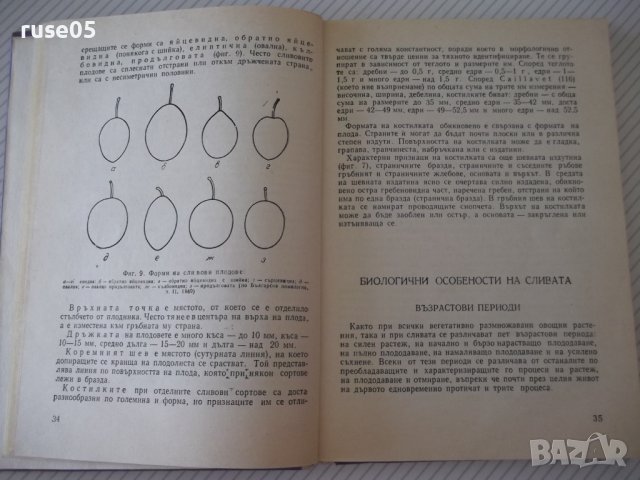 Книга "Слива-И.Илиев/М.Витанов/М.Йончева/В.Беляков"-208 стр., снимка 6 - Специализирана литература - 40060968