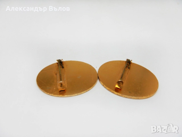 Две Стари Брошки Рози Комплект Мода Бижута, снимка 7 - Други - 52622321