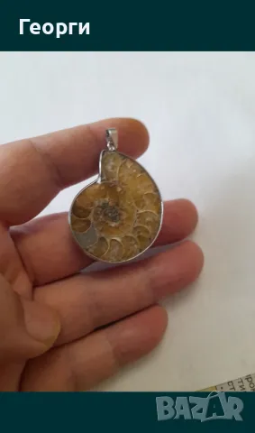 Натурален амунит в обков, снимка 4 - Антикварни и старинни предмети - 50138550