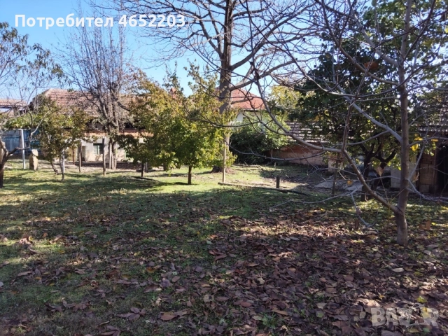 Къща в село Екзарх Йосиф , снимка 5 - Къщи - 52427389