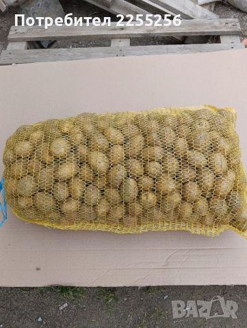 Картофи 10кг-20кг и семе Сорт сорая  , снимка 4 - Домашни продукти - 52497687