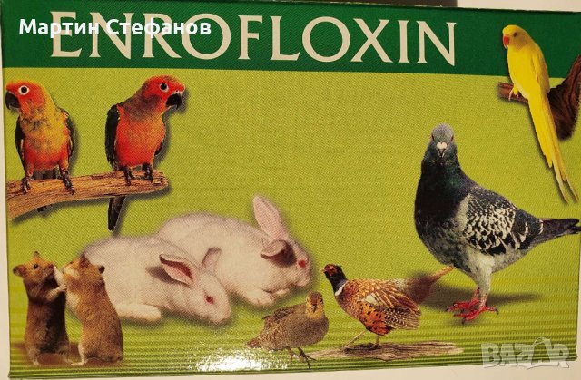 Енрофлоксин 15 мг. - таблетки за малки домашни любимци, снимка 1 - За птици - 39365019