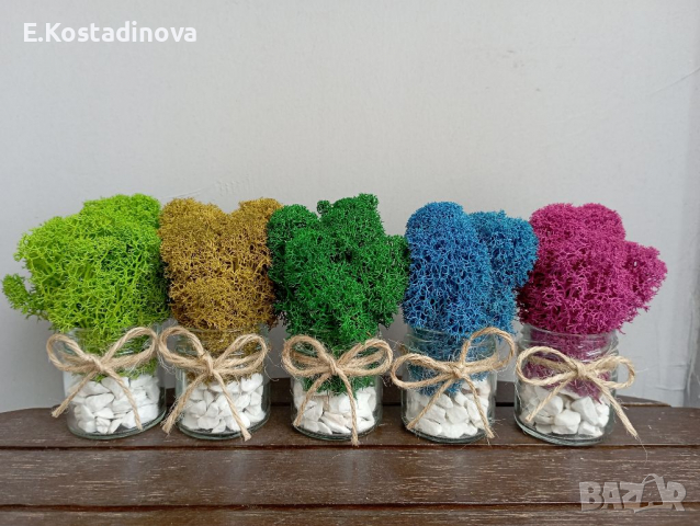 Подаръчета за гости / Декорация за дома със скандинавски мъх 