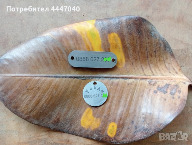 Изработка на медальони за домашни любимци