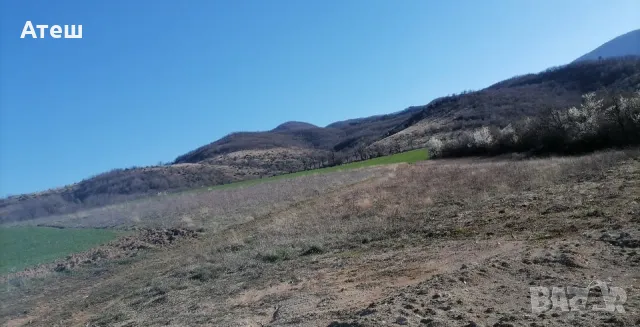 земя нива 10 дка в с. Новаково , снимка 7 - Земеделска земя - 49779988