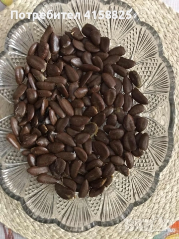 Асимина -Пау - Пау, снимка 4 - Градински цветя и растения - 51686601