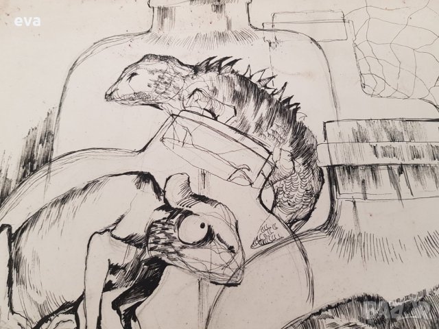 Картина Ина Тъмнева Хамелеони гущери рисунка туш 1983г., снимка 5 - Картини - 34134310