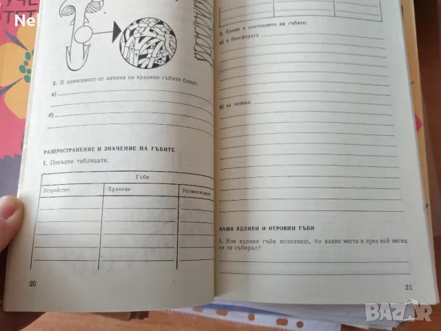 тетрадка по биология, снимка 2 - Учебници, учебни тетрадки - 48140039