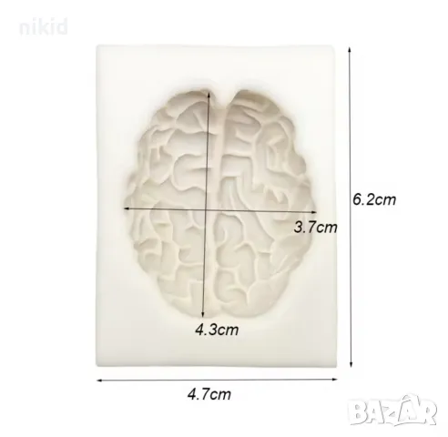 3D Мозък силиконов молд форма фондан шоколад гипс сапун свещ декор, снимка 5 - Форми - 49329742