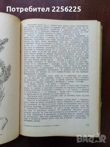 Практическо ръководство по систематика на растенията , снимка 2 - Специализирана литература - 50427539
