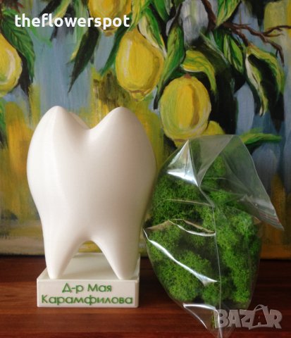 Подарък за зъболекар (стоматолог) и зъботехници, снимка 4 - Други - 41015651