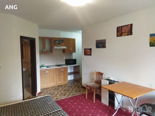 Продава студио в к.к. Пампорово , снимка 6 - Апартаменти - 51368190