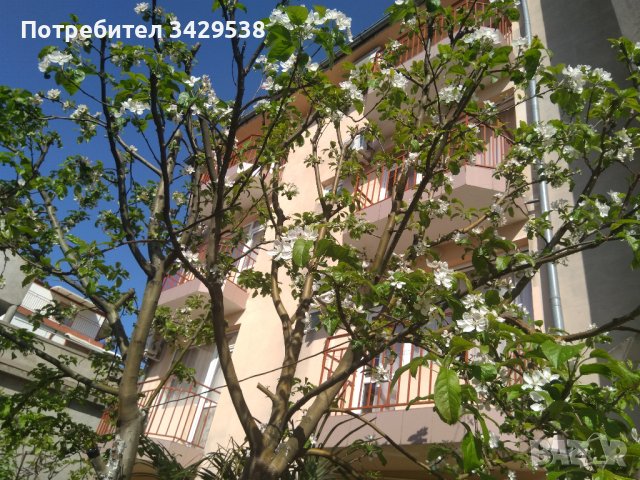 Къща за гости Каприз с паркинг, снимка 4 - Почивки на море - 37264987