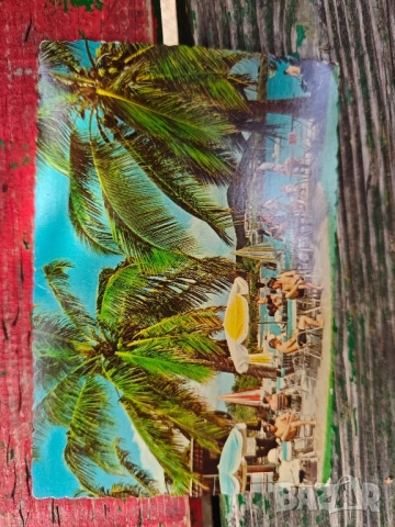 картичка За Николай Бинев, снимка 2 - Филателия - 51644097