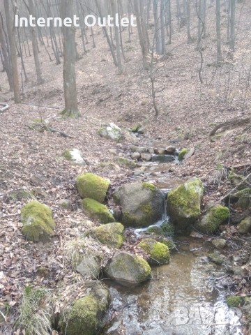 Парцел с жилищен фургон , снимка 10 - Парцели - 53607526