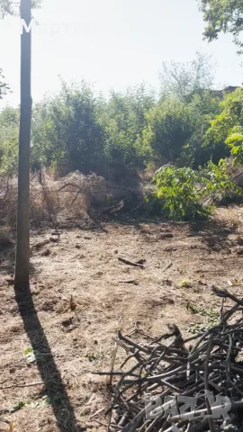 Предлагам помощ с непосилни задачи в двора, лозето или градината в област Плевен, снимка 3 - Други почистващи услуги - 55834234