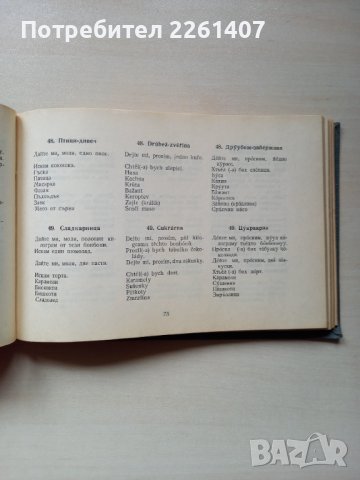 Българо-чешки разговорник, снимка 3 - Чуждоезиково обучение, речници - 44255183