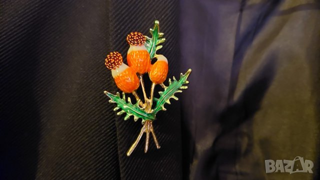 Брошка Шипка, снимка 1