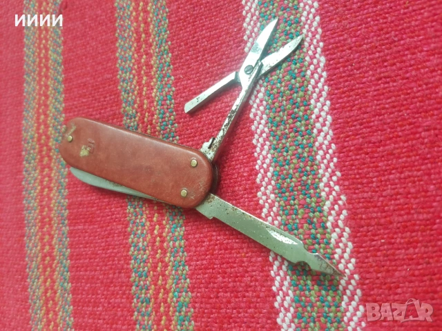 Ножка с елен, снимка 2 - Антикварни и старинни предмети - 53440849