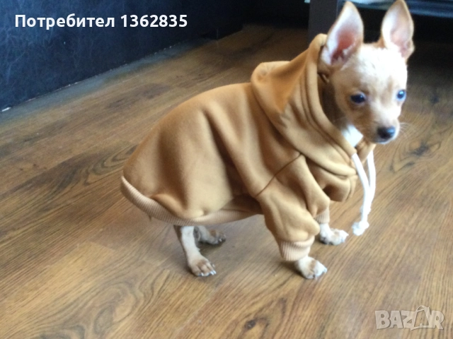 НОВ топъл кафяв суичър за куче от Италия размер S и M, снимка 2 - За кучета - 51972493