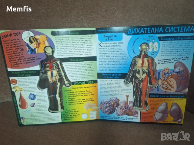 Детска енциклопедия , снимка 3 - Енциклопедии, справочници - 53699194