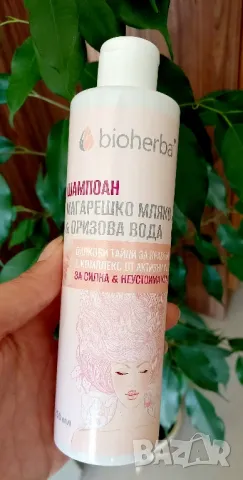 ‼️Промоция за 3бр. -ШАМПОАН МАГАРЕШКО МЛЯКО & ОРИЗОВА ВОДА , снимка 2 - Продукти за коса - 47588579