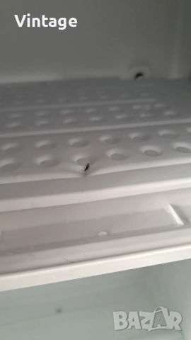 Хладилник - Elite за части, снимка 3 - Хладилници - 53589654