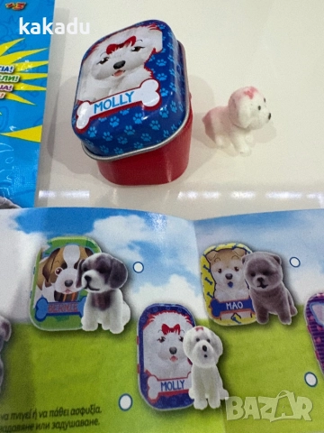 Кученце в метална кутийка - Molly