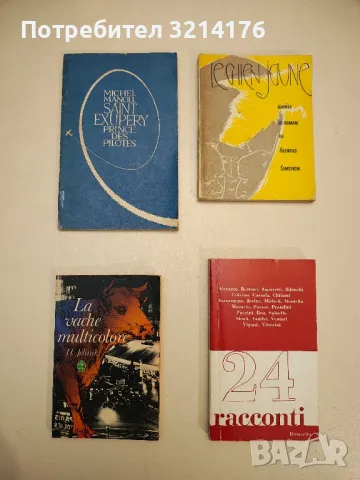 Saint-Exupéry. Prince des Pilotes - Michel Manoll