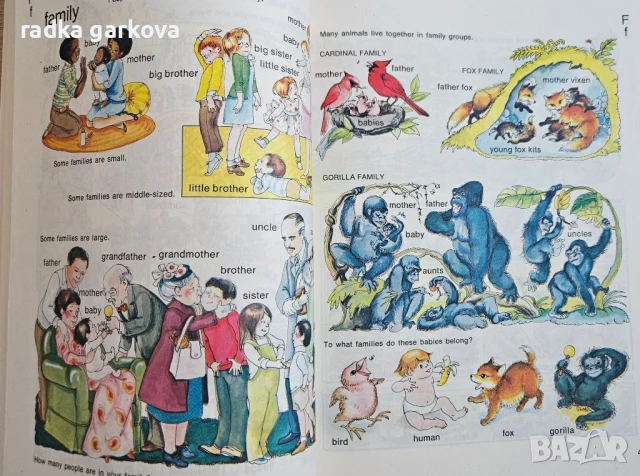 Golden Picture Dictionary Английски Речник в картинки, снимка 3 - Чуждоезиково обучение, речници - 51010693