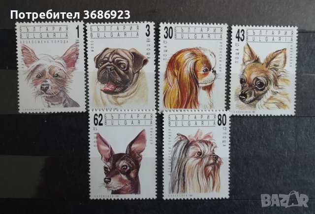 1991 (11 октомври). Салонни кучета. 