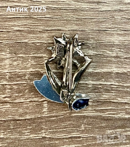 Брошка / значка „Еделвайс“ Alp Spitze 2628 m, снимка 2 - Колекции - 53692660