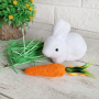 4611 Великденска декорация Зайче с морков и тревичка, снимка 1