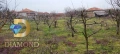 Парцел в село Плодовитово, обл. Стара Загора, снимка 2