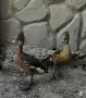 Продавам двойка детрацени, снимка 2