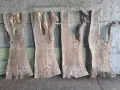 Янове от орех подходящи за смола , снимка 4