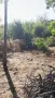 Предлагам помощ с непосилни задачи в двора, лозето или градината в област Плевен, снимка 3