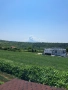 Панорамен парцел в с.Рилци общ.Благоевград, снимка 3